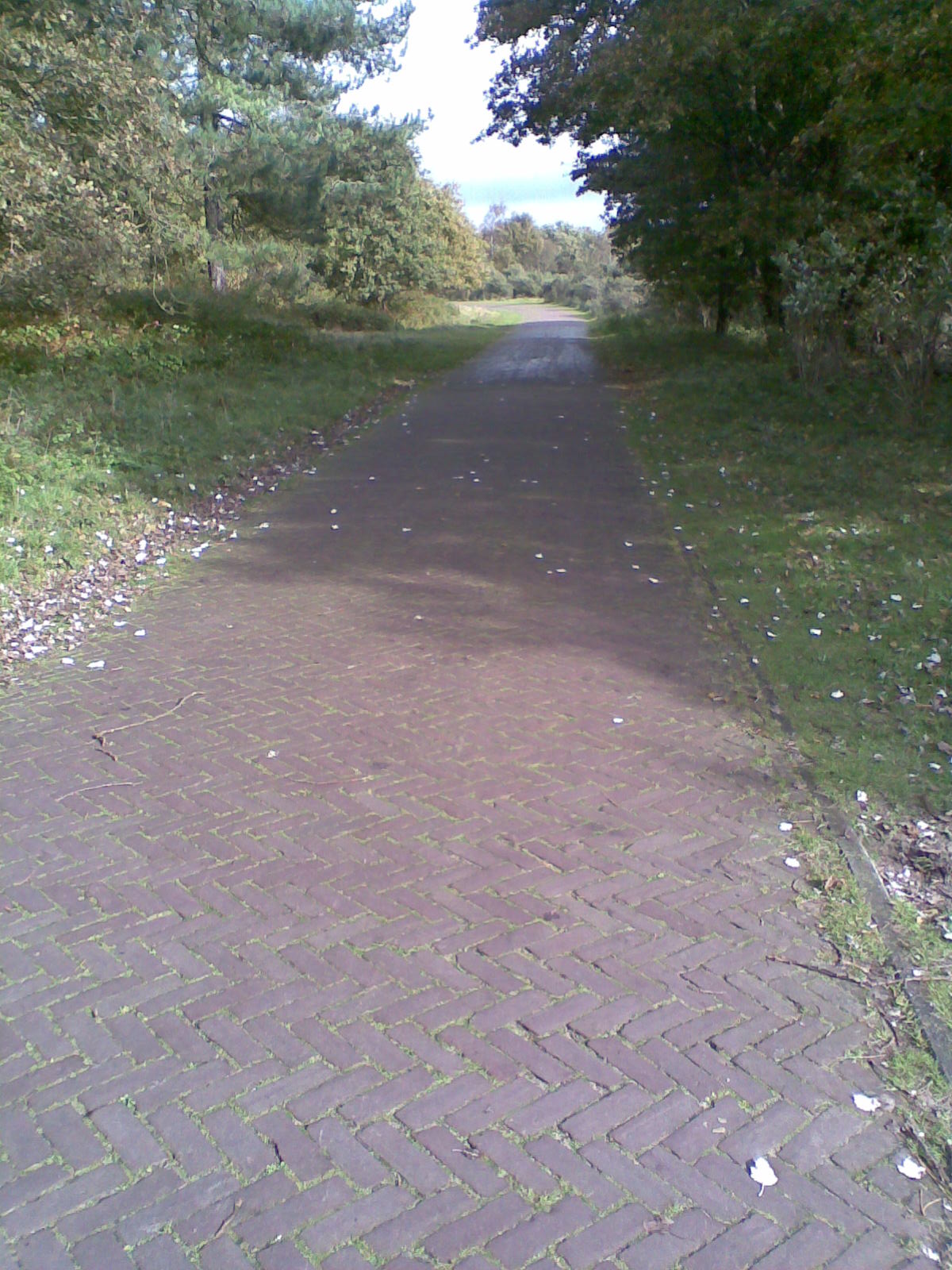 06-Egmond